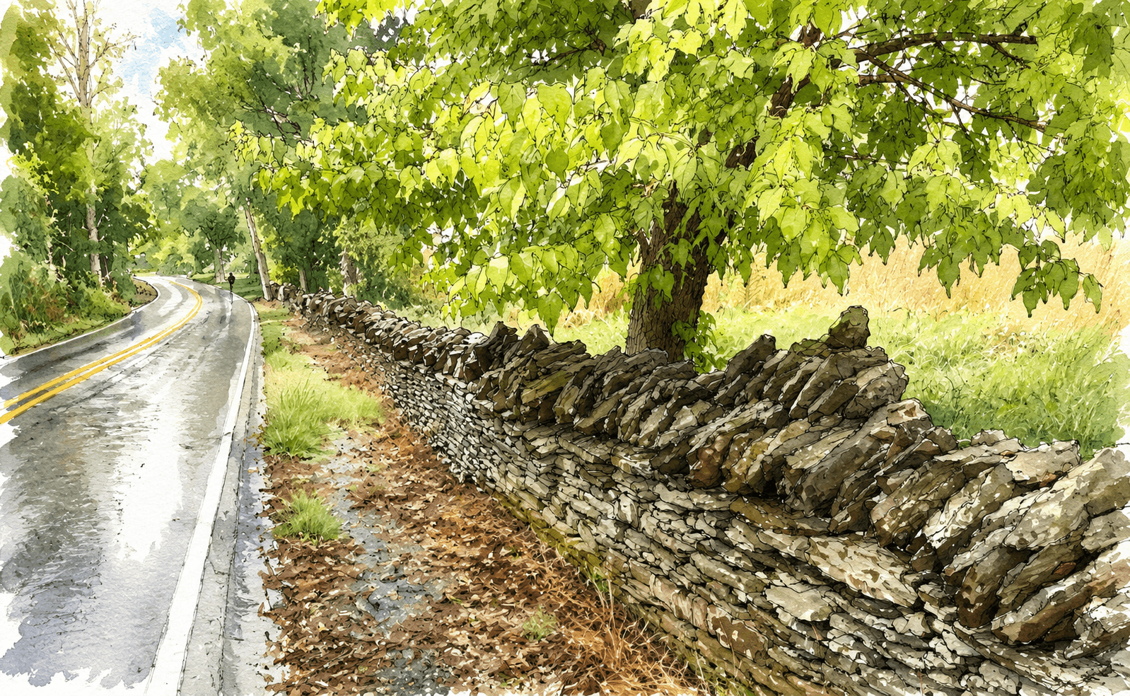 Dry Stone Conservancy Map
